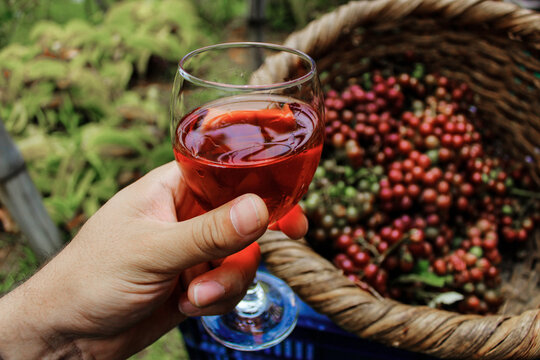 hand of a young adult man holding a glass of artisan farm wine next to a wicker harvest basket in rural Puriscal Costa Rica