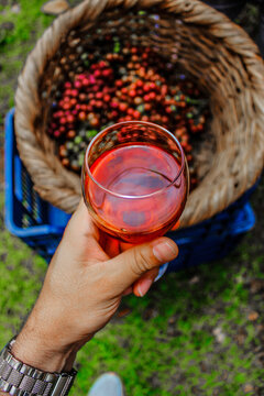 vertical shot of a hand of a young adult man holding a glass of artisan farm wine next to a wicker harvest basket in rural Puriscal Costa Rica