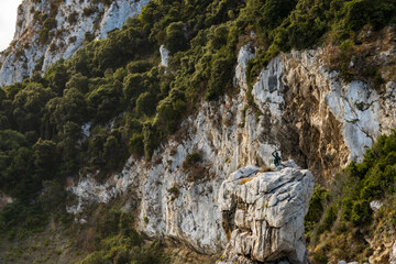 Rock formations full of trees and bushes at hills of Capri island