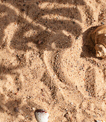 Sand on the beach concept frame with tropical leaf shadow and seashells. Summer top view. Copy space	