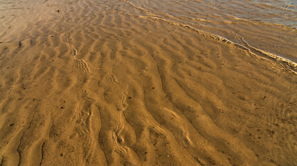 Low tide of the Beach