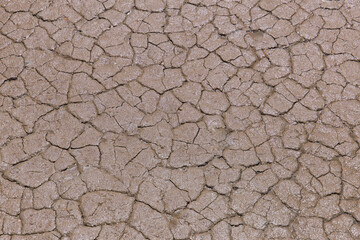 Tried out ground with visible cracks and brown dust.