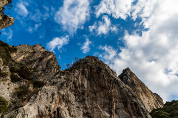 Fototapeta na wymiar Edge of high cliff next to the sea at sunny day on Capri island
