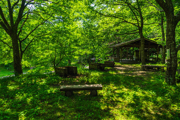 牛伏寺キャンプ場