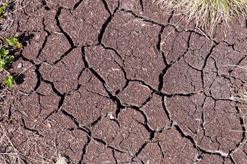 Dry ground with cracks 