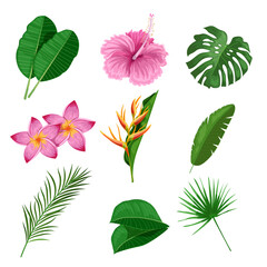 Tropical leaves and flowers set. Collection of exotic plants. Best for invitations, party designs and flyers. Vector illustrations isolated on white background.