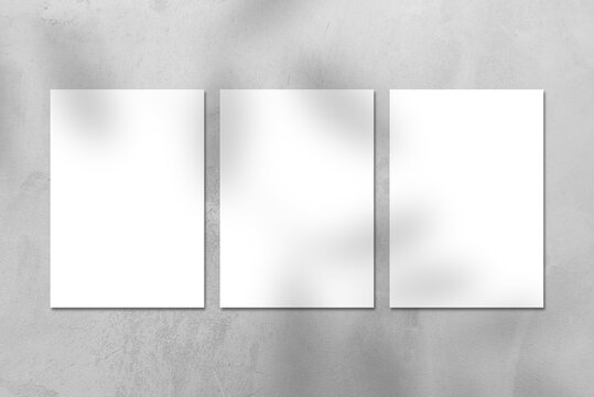 Three empty white vertical A4 rectangle poster or business card mockups with tree leaves shadow on gray concrete stone wall. Flat lay, top view. For advertising, brand design, stationery presentation.