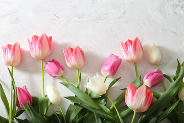 Bouquet of fresh tulips on a light background