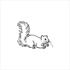Squirrel logo design on white background.
