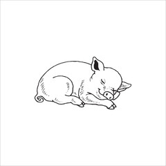 Pig logo design on white background.