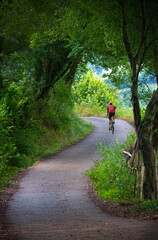 Fototapeta na wymiar ciclista recorriendo una carretera pintoresca llena de árboles y vegetación con una bicicleta gravel