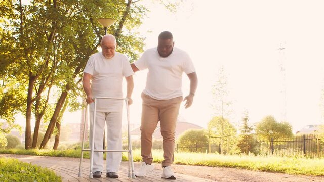 African-American caregiver is teaching disabled old man to walk with walker. Professional nurse and handicapped patient in the park. Assistance, rehabilitation and health care. Golden hour sunset.
