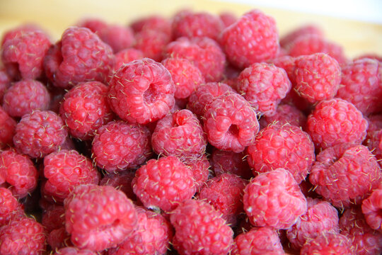 fresh raspberries on a white background close-up