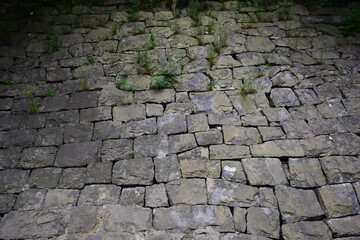 The pavement is lined with cobblestones of various sizes and shapes, through which grass sprouts in the upper part of the frame