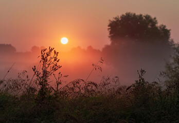 Sunrise over the cliff. morning haze at dawn on a cliff in summer. Freshness.