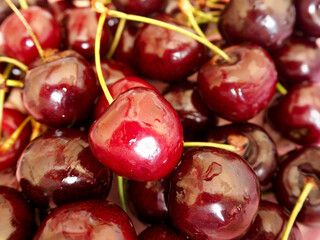 there are a lot of red juicy cherries with drops of water nearby . side view