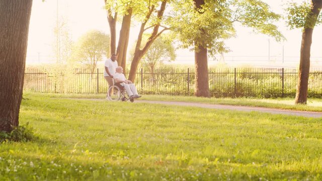 African-American caregiver and old disabled man in a wheelchair. Professional nurse and handicapped patient in the park. Assistance, rehabilitation and health care. Golden hour sunset.