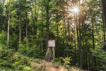 A raised hide of a hunter in the forest at sundown