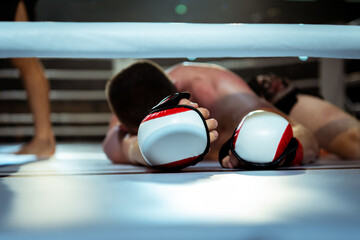 Defeated boxer lies in the ring - obrazy, fototapety, plakaty