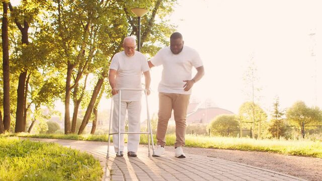 African-American caregiver is teaching disabled old man to walk with walker. Professional nurse and handicapped patient in the park. Assistance, rehabilitation and health care. Golden hour sunset.