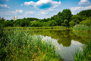 landscape with river