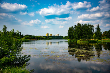 Obraz premium lake in the park