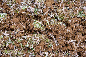 The soil is covered with spring frost, the ground wakes up after winter, cracked soil and spring mornings.