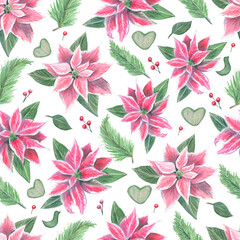 Seamless pattern  with pink indoor plant poinsettia with green leaves. Top view. Made in the technique of colored pencils. Hand drawn.