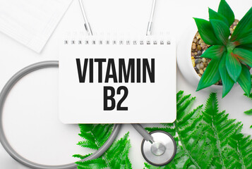 Vitamin b2 word on notebook,stethoscope and green plant