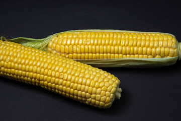 Peeled corn on a black background. Raw fresh corn. Healthy food