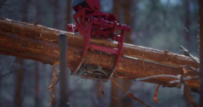 Log hydraulic crane machine forwarder loading logs to truck. Deforestation for Industrial production, mechanical gripper