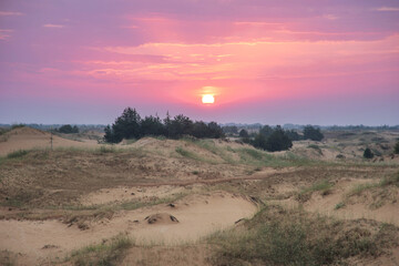 Naklejka premium desert landscape at sunrise. summer background