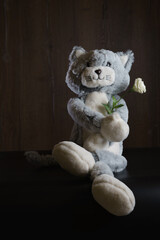 cute fluffy plush cat sitting with a white rose