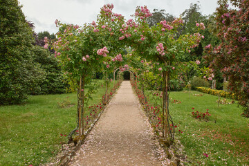 Fototapeta na wymiar Path of a garden with tunnel of roses.