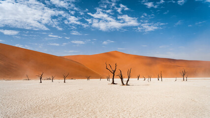 Panoramic view of Deadvlei in the Namib-Naukluft National Park, Namibia, Africa.