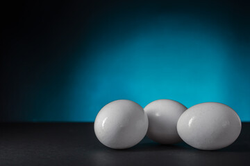 shiny white chicken eggs on a black and blue background with copy space
