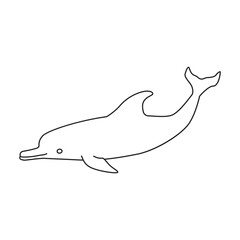 Dolphin vector outline icon. Vector illustration sea animal on white background. Isolated outline illustration icon of dolphin.