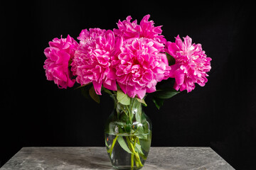 Peony flowers in the summer 