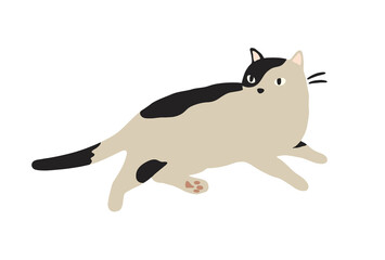 くつろぐ猫のイラスト-ブチ猫