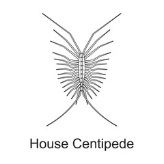 Beetle insect vector outline icon. Vector illustration bug insect on white background. Isolated outline illustration icon of beetle pest .