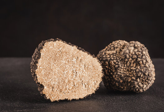 Black truffle tubers close up on dark background copy space.