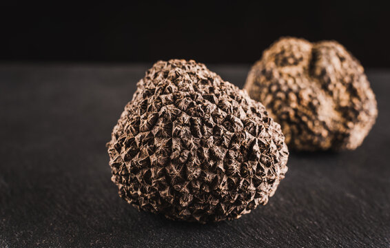 Truffles tuber close up copy space on black background.
