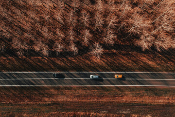 Three cars on the road through forest from above