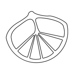 Lemon vector outline icon. Vector illustration citrus on white background. Isolated outline illustration icon of lemon .