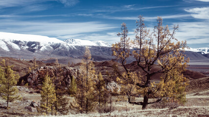 View of the mountains landscape in Altai Republic, Russia.