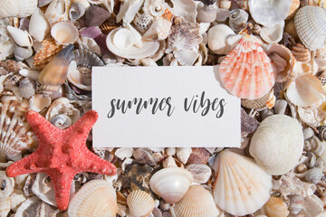 Summer vibes lettering on a piece of paper on seashells and starfish. Summer creative text flat lay