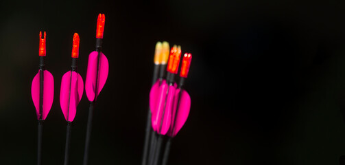 Archery arrows on dark background. Professional sport concept. Horizontal sport poster, greeting cards, headers, website