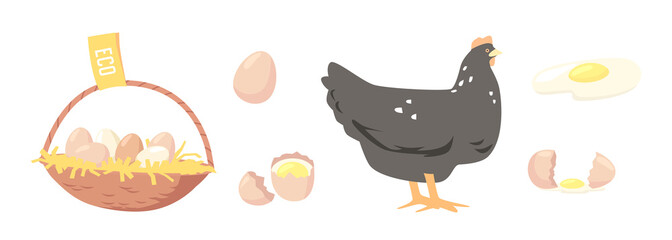 Set of Eggs in Basket, Broken Shell, Chicken. Agriculture Farmer Production, Organic Farm Food Design Elements, Icons