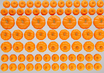 Pumpkins background. Background texture with pumpkins in even rows. Pattern with pumpkins of different sizes. food background design. Lots of gourds top view. Three-dimensional 3d wallpaper.