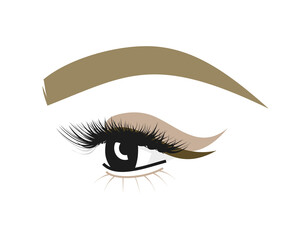 eyebrow and eye with eyelashes. makeup for beauty salon